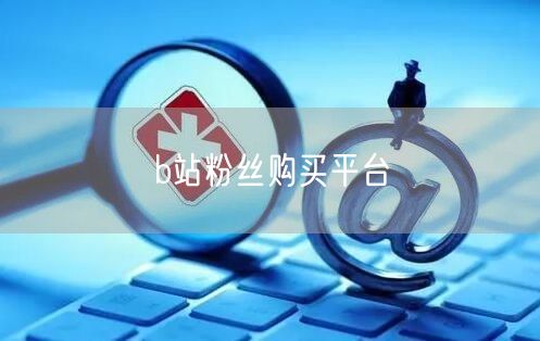 b站粉丝购买平台