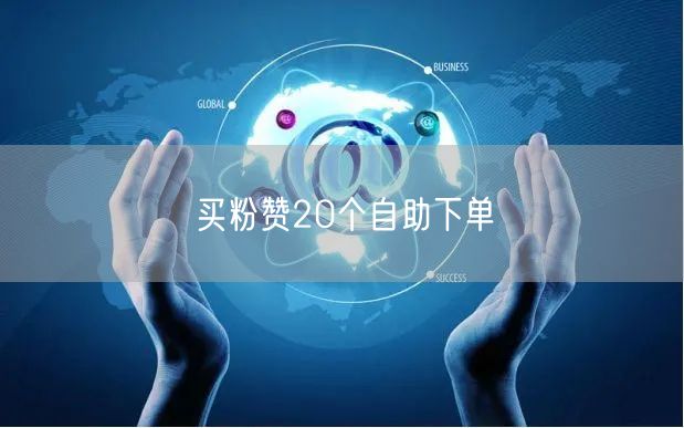 买粉赞20个自助下单