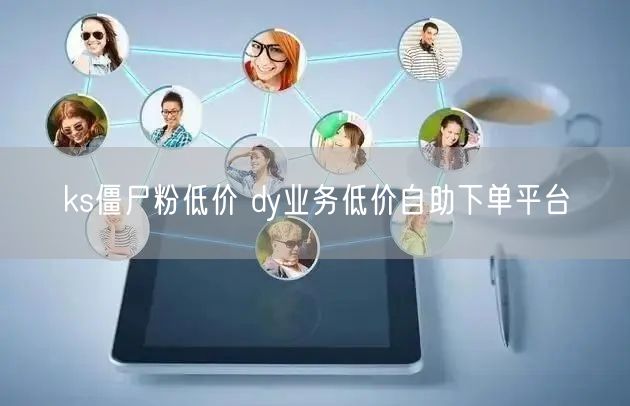 ks僵尸粉低价 dy业务低价自助下单平台