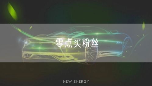 零点买粉丝