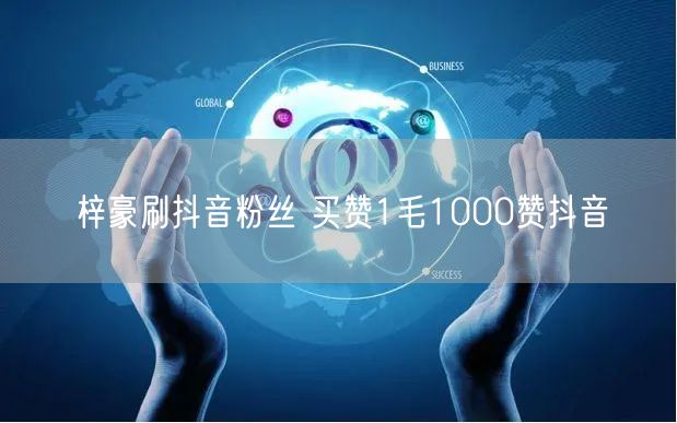梓豪刷抖音粉丝 买赞1毛1000赞抖音