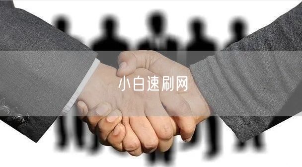 小白速刷网