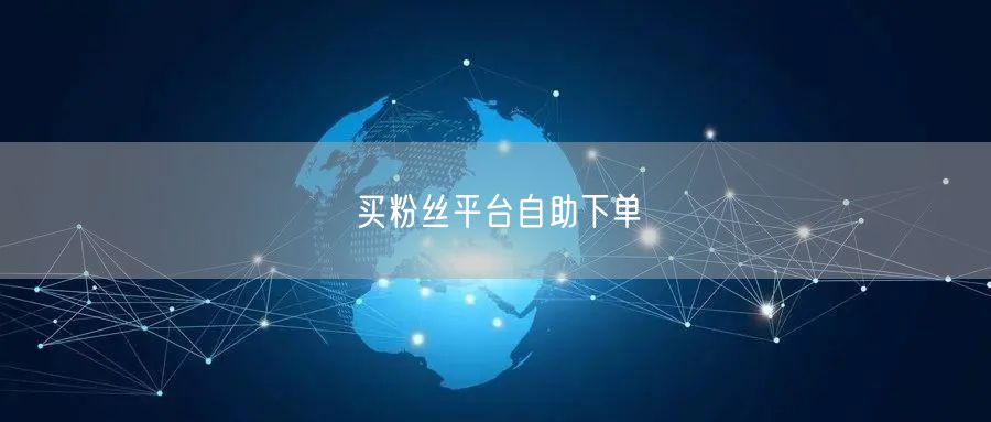 买粉丝平台自助下单