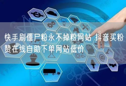 快手刷僵尸粉永不掉粉网站 抖音买粉赞在线自助下单网站低价