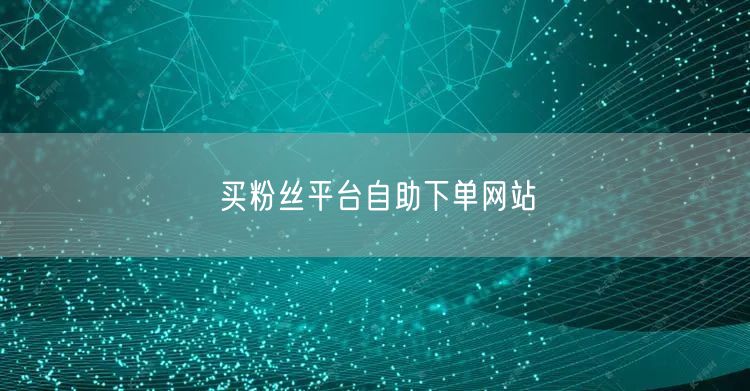 买粉丝平台自助下单网站