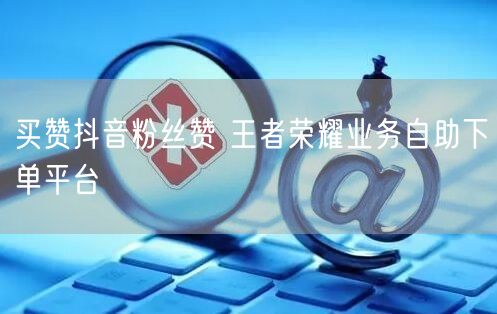买赞抖音粉丝赞 王者荣耀业务自助下单平台