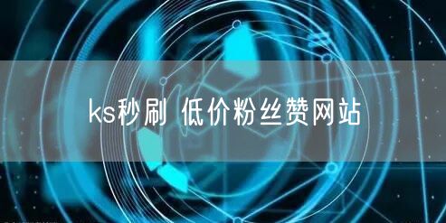 ks秒刷 低价粉丝赞网站