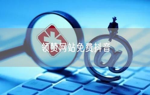 领赞网站免费抖音