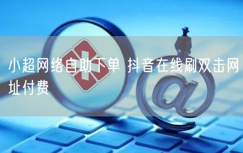 小超网络自助下单 抖音在线刷双击网址付费