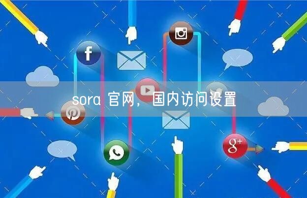 sora 官网，国内访问设置