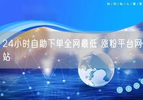 24小时自助下单全网最低 涨粉平台网站