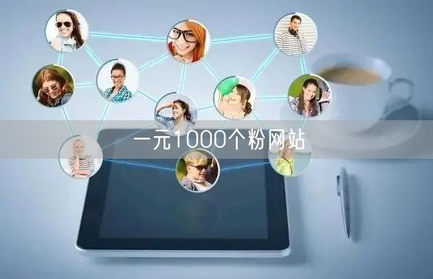 一元1000个粉网站