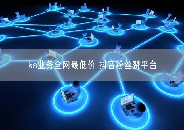 ks业务全网最低价 抖音粉丝赞平台