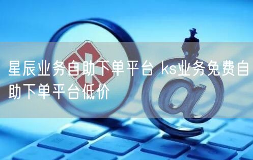 星辰业务自助下单平台 ks业务免费自助下单平台低价