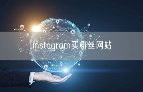 instagram买粉丝网站