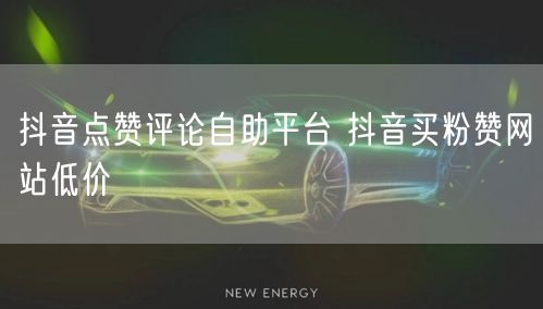抖音点赞评论自助平台 抖音买粉赞网站低价