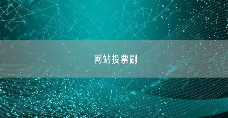 网站投票刷