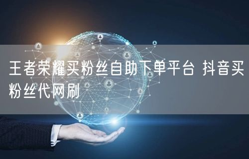 王者荣耀买粉丝自助下单平台 抖音买粉丝代网刷