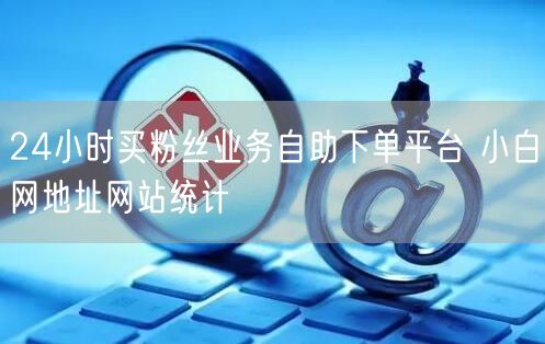 24小时买粉丝业务自助下单平台 小白网地址网站统计