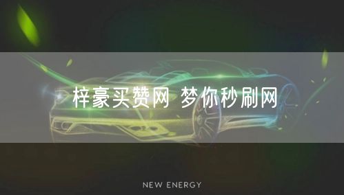 梓豪买赞网 梦你秒刷网