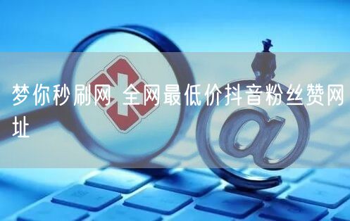 梦你秒刷网 全网最低价抖音粉丝赞网址