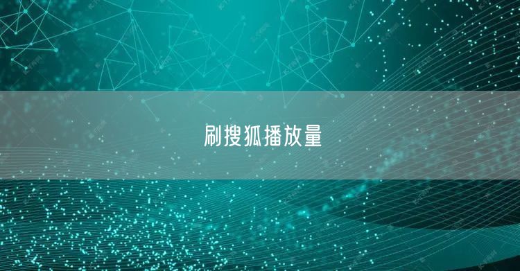 刷搜狐播放量