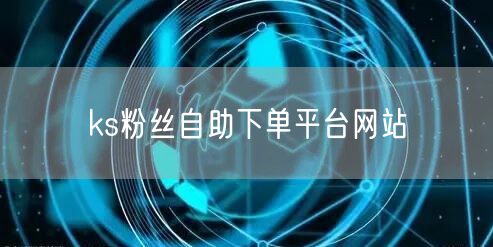 ks粉丝自助下单平台网站