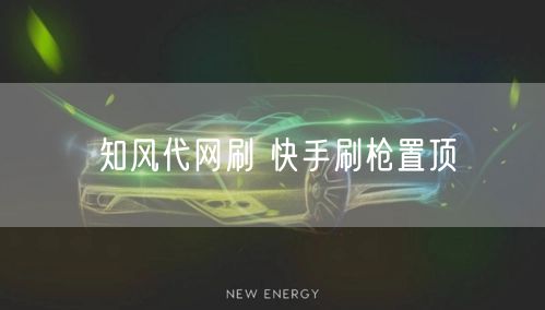 知风代网刷 快手刷枪置顶