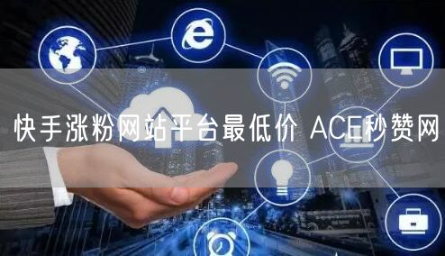 快手涨粉网站平台最低价 ACE秒赞网