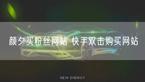 颜夕买粉丝网站 快手双击购买网站