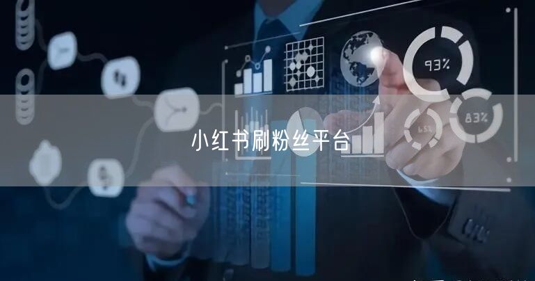 小红书刷粉丝平台