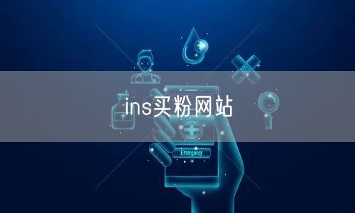 ins买粉网站