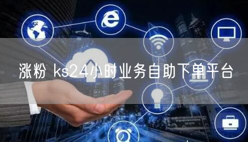 涨粉 ks24小时业务自助下单平台