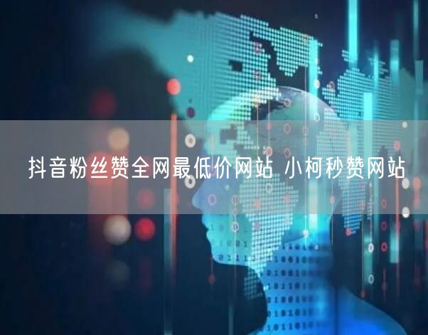 抖音粉丝赞全网最低价网站 小柯秒赞网站