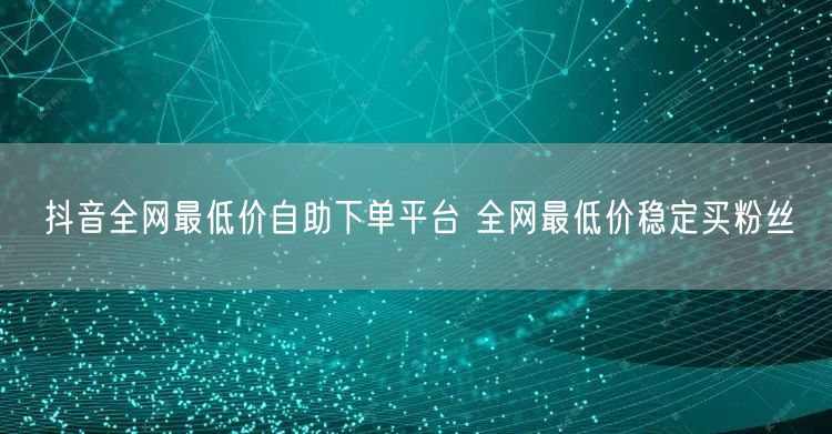 抖音全网最低价自助下单平台 全网最低价稳定买粉丝