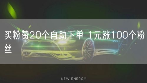 买粉赞20个自助下单 1元涨100个粉丝