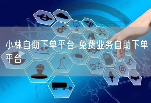 小林自助下单平台 免费业务自助下单平台