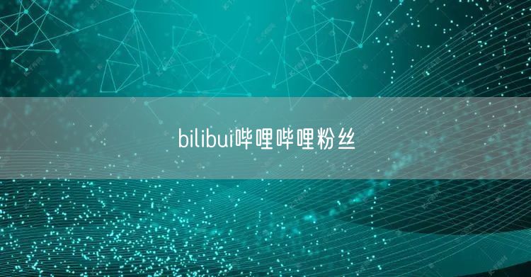 bilibui哔哩哔哩粉丝