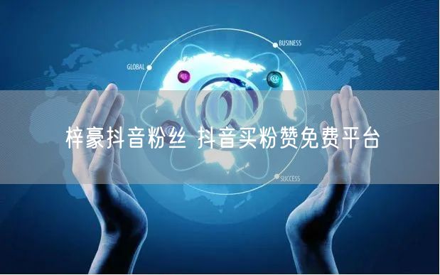 梓豪抖音粉丝 抖音买粉赞免费平台