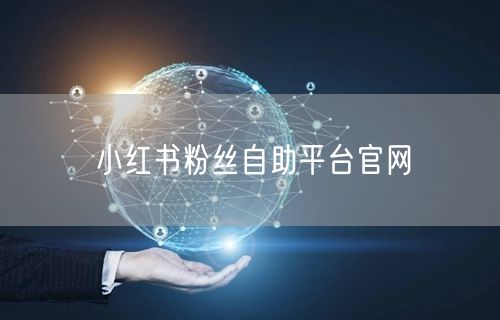 小红书粉丝自助平台官网