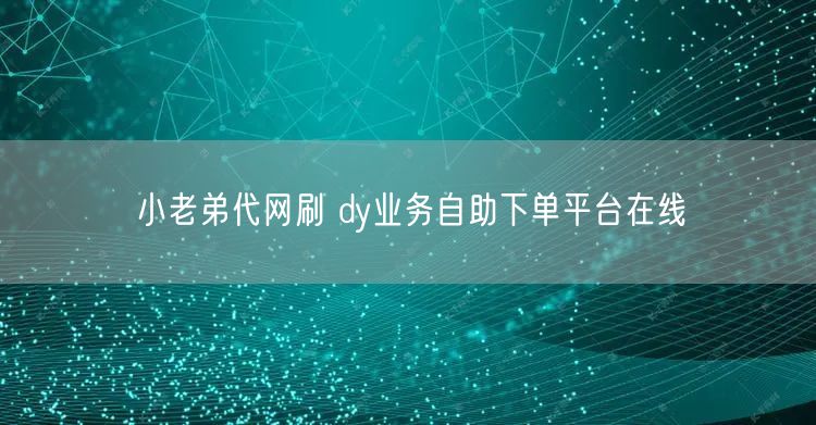小老弟代网刷 dy业务自助下单平台在线