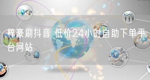 梓豪刷抖音 低价24小时自助下单平台网站