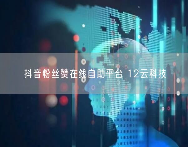 抖音粉丝赞在线自助平台 12云科技