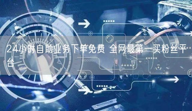 24小时自助业务下单免费 全网最第一买粉丝平台