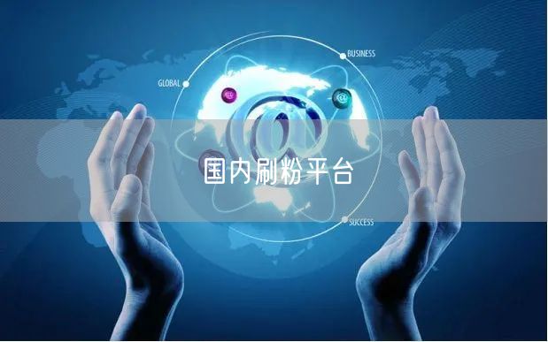 国内刷粉平台