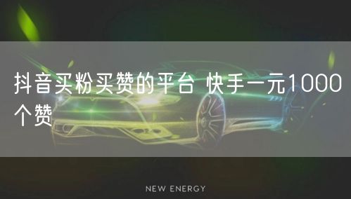 抖音买粉买赞的平台 快手一元1000个赞