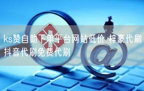ks赞自助下单平台网站低价 梓豪代刷抖音代刷免费代刷