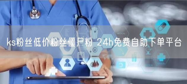 ks粉丝低价粉丝僵尸粉 24h免费自助下单平台