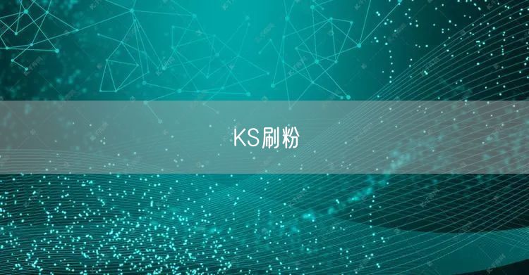 KS刷粉