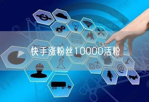 快手涨粉丝10000活粉